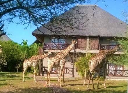 Rhulani Kruger Villa Marloth Park Exteriör bild